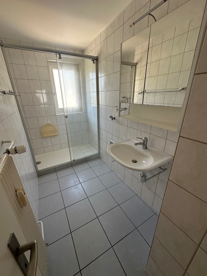 Charmant appartement 4.5 pièces avec balcon à Biel (7)