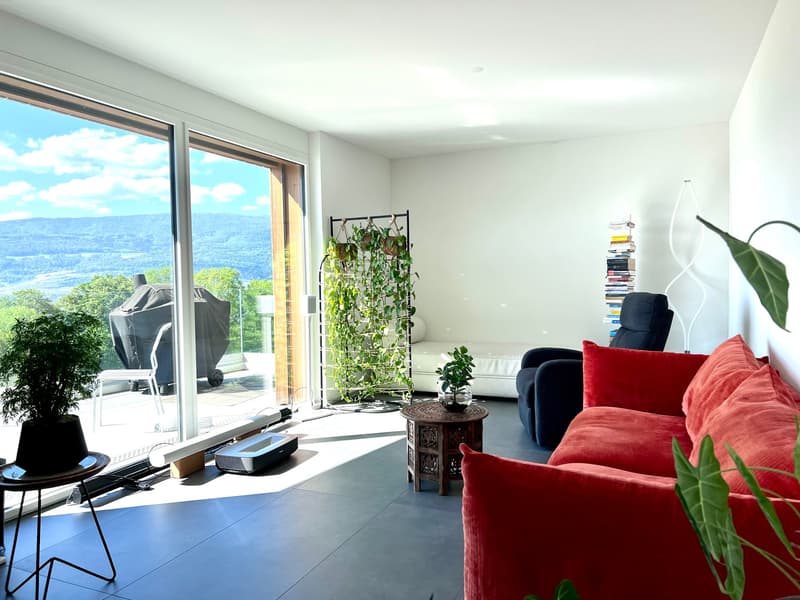 Appartamento in mansarda con vista sul lago (3)