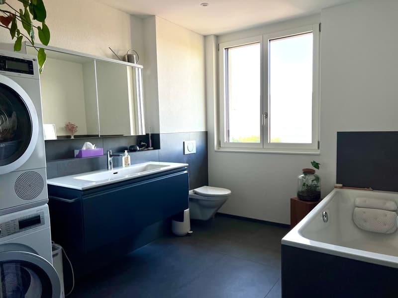 Appartamento in mansarda con vista sul lago (6)