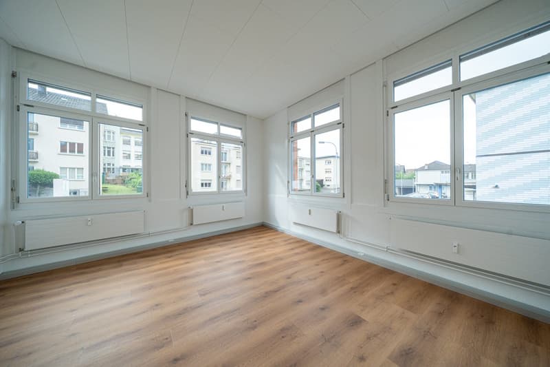 Espace commercial et de bureau rénové disponible immédiatement (3)