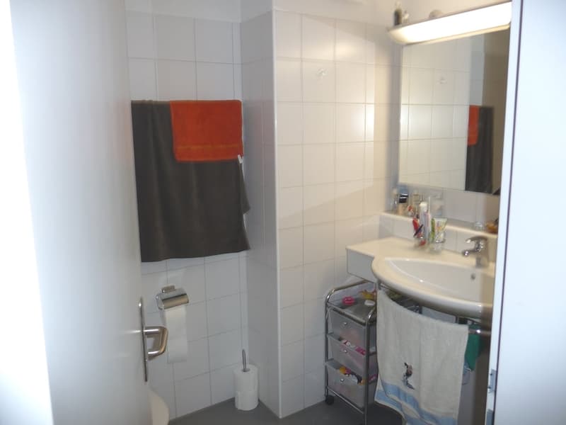 Bello appartamento di 4,5 locali in affitto a Ipsach! (6)