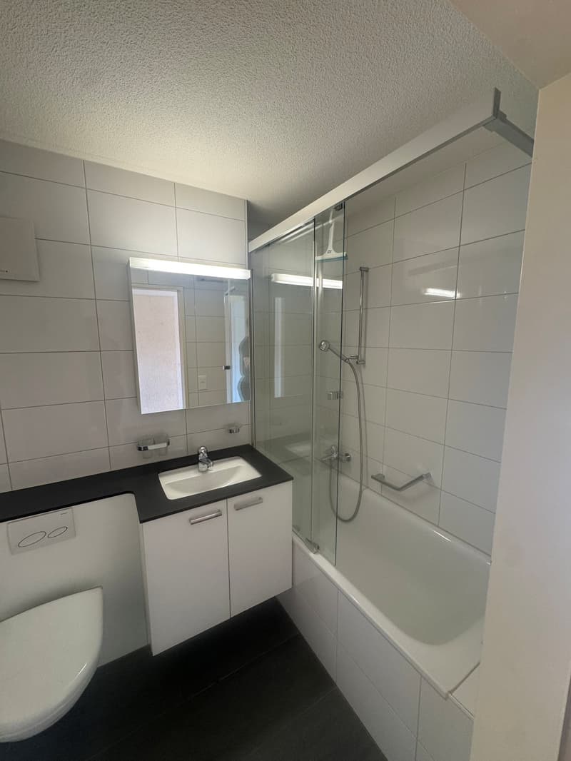 Appartement 1 pièce au 2e étage (4)