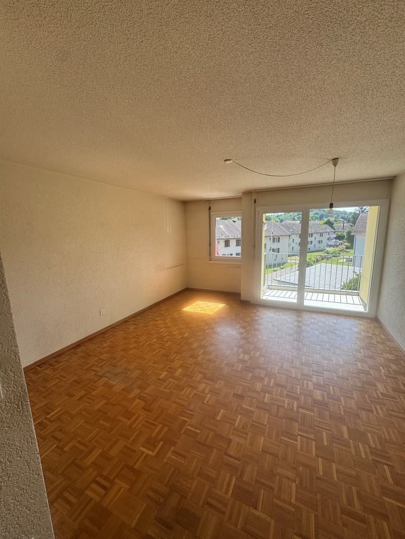 Appartement 1 pièce au 2e étage (3)