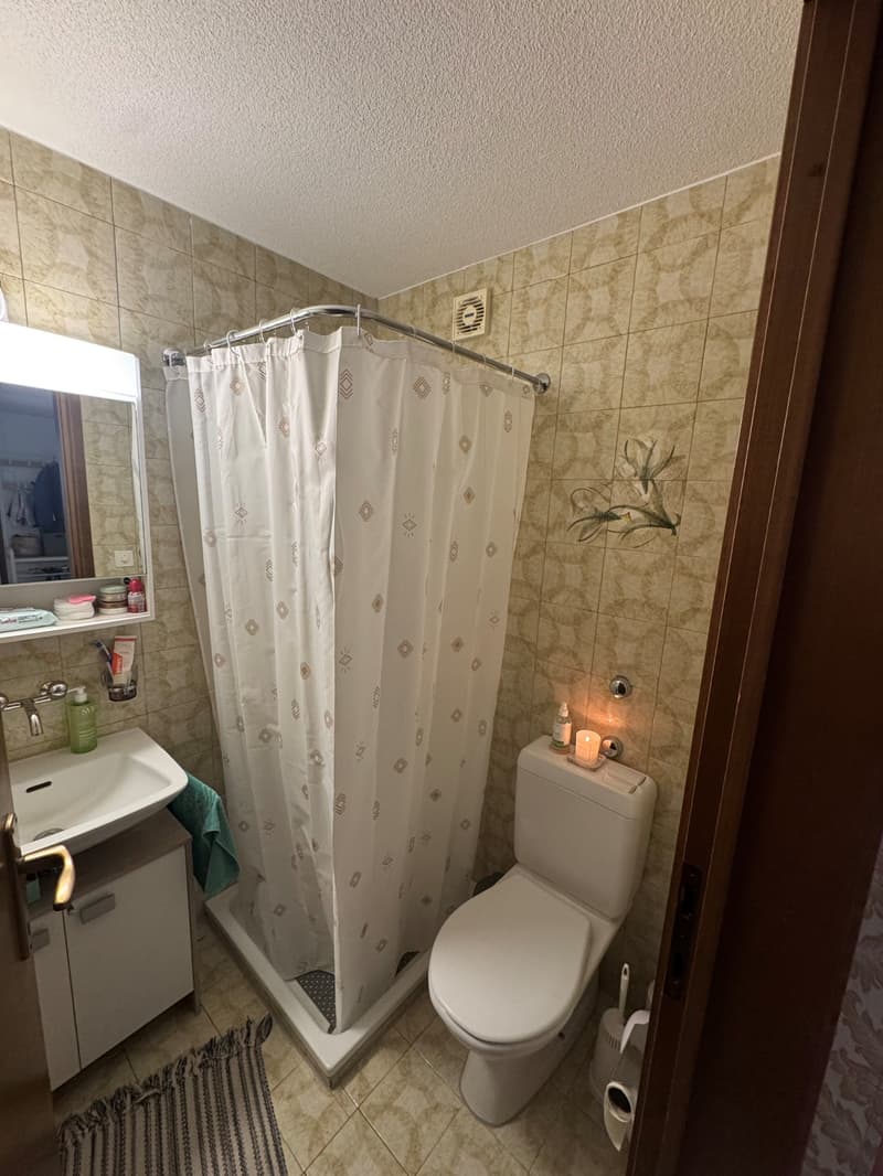 Appartamento soleggiato di 4,5 locali con balcone a Biel (8)