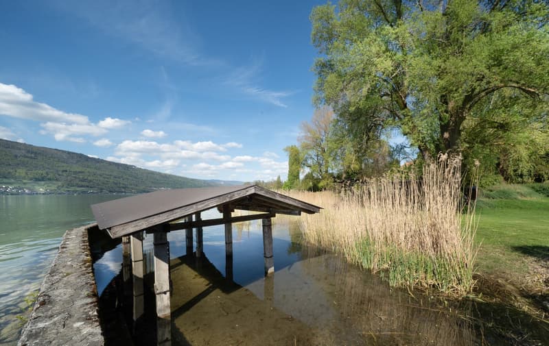 Terreno edificabile esclusivo sul lago di Bienne con capanno per barche (5)