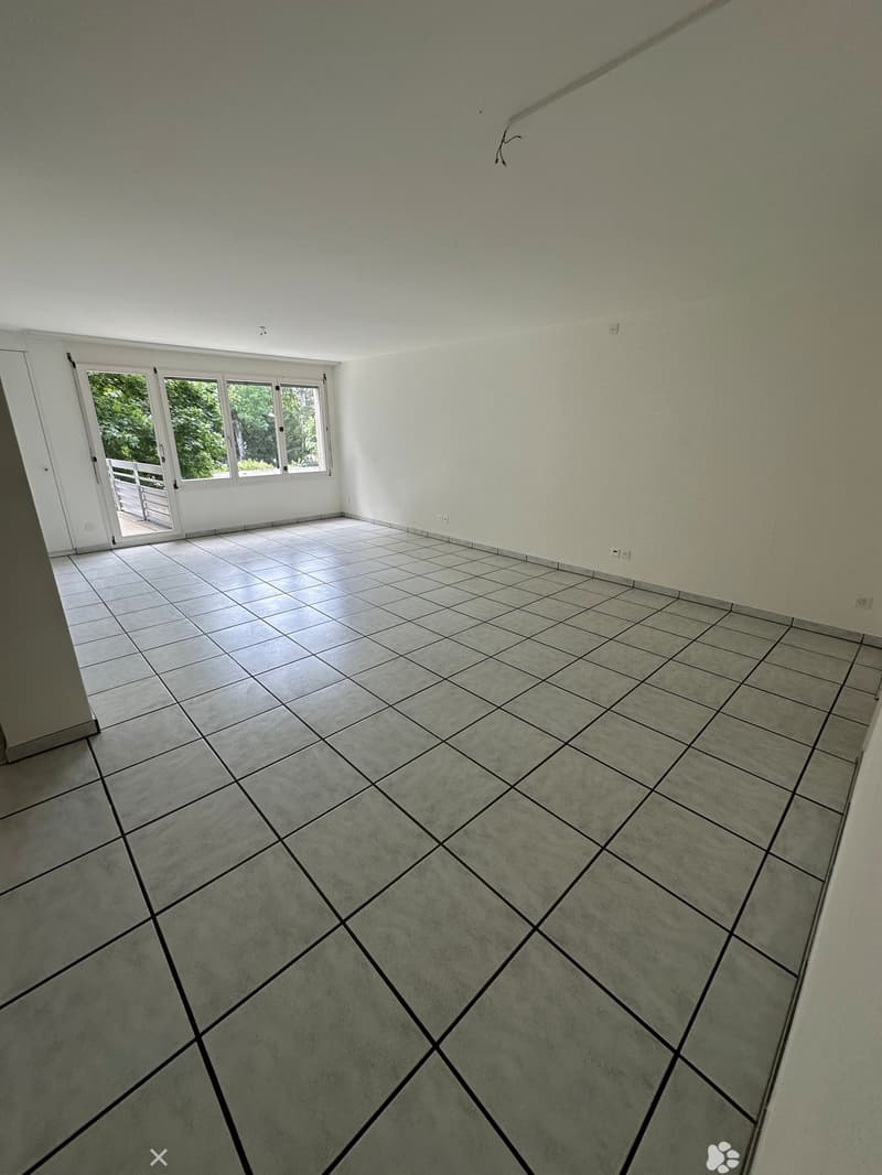 Helle 4.5-Zimmer-Wohnung mit Balkon in Biel (2)