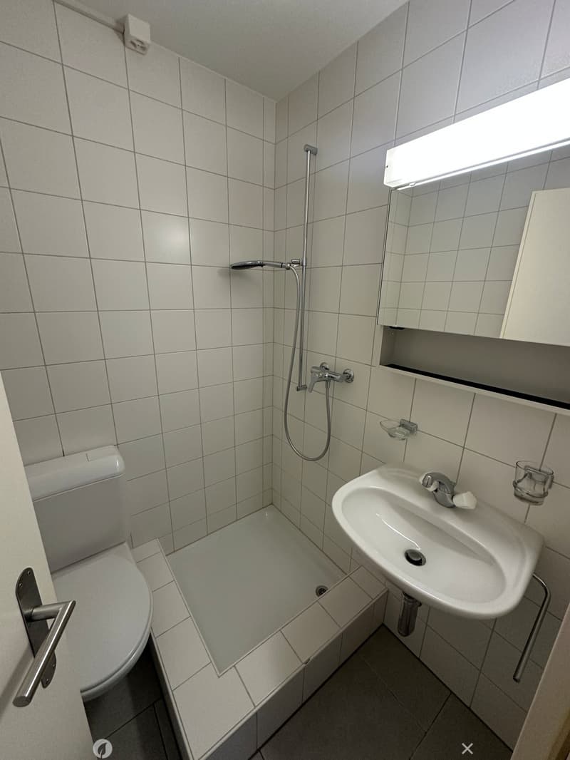 Helle 4.5-Zimmer-Wohnung mit Balkon in Biel (7)