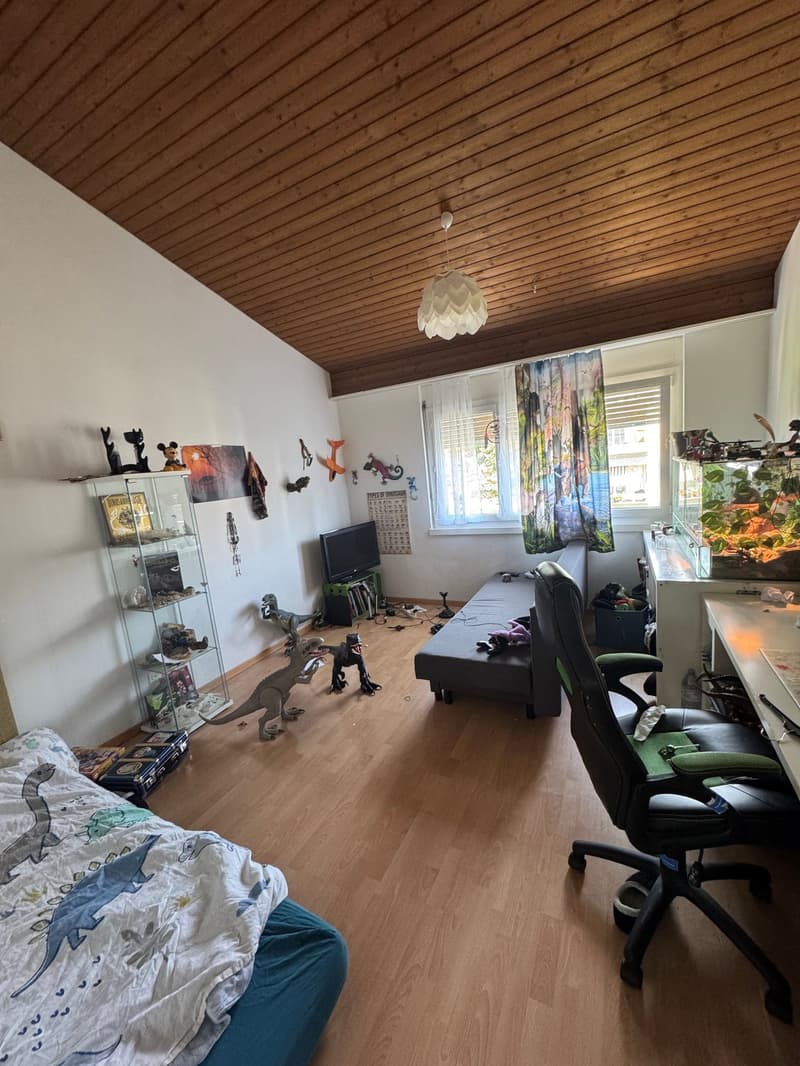 6-Zimmer-Duplexwohnung (9)