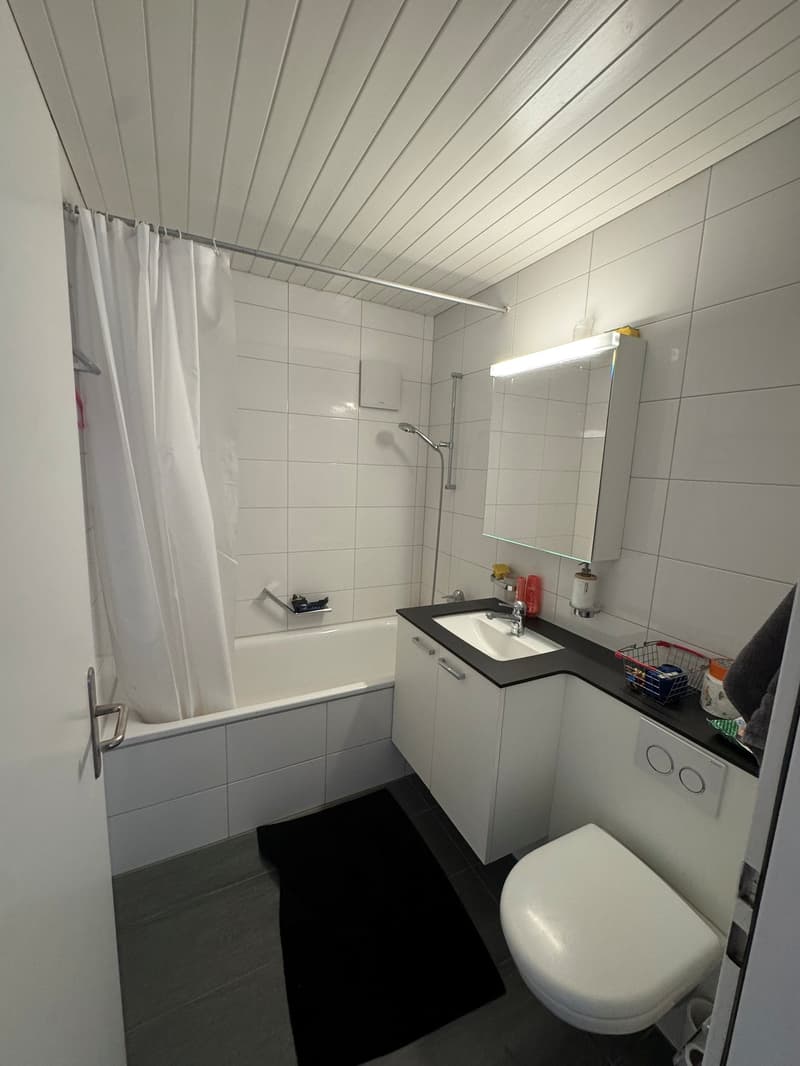 6-Zimmer-Duplexwohnung (10)