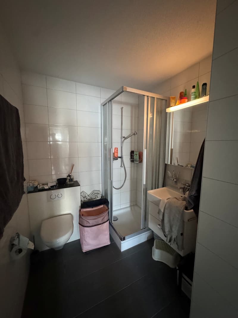 Appartement Duplex 6 Pièces (6)