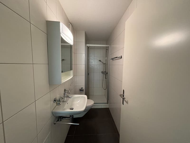 Appartement 4.5 pièces avec balcon et vue panoramique (4)