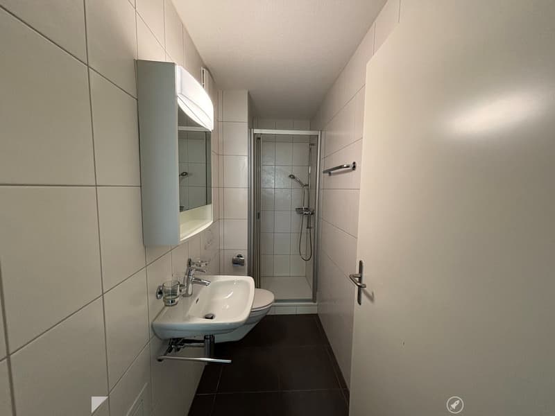 4.5-Zimmer-Wohnung mit Balkon und Weitsicht (4)