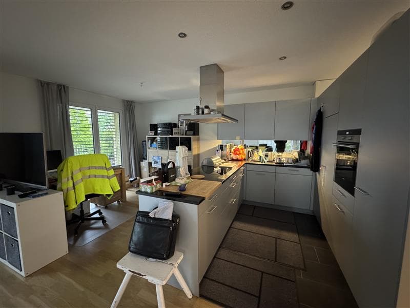 Appartement moderne 3.5 pièces à emplacement surélevé ! (4)