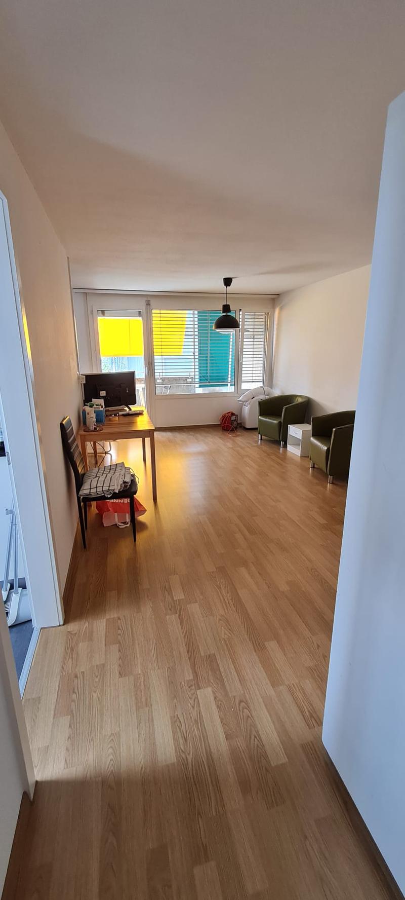 Cozy, central 3.5-room apartment (4)