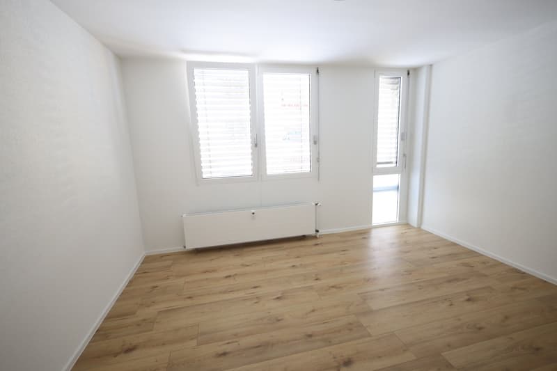 Newly renovated 2-room apartment in the center of Biel (3)