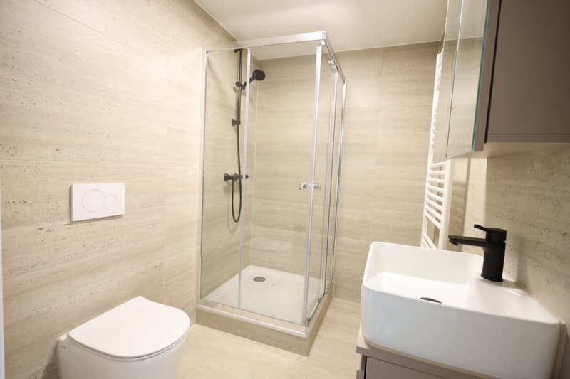 Newly renovated 2-room apartment in the center of Biel (2)