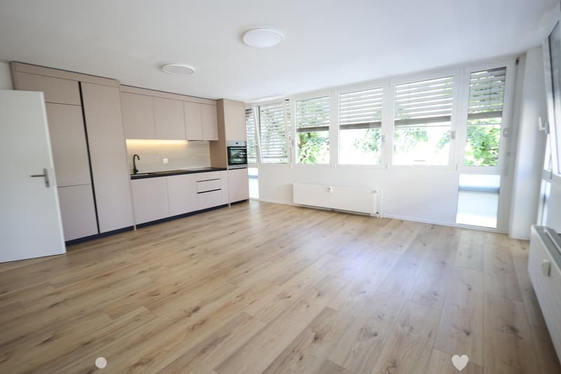 Neu sanierte 2-Zimmer-Wohnung im Zentrum von Biel (1)