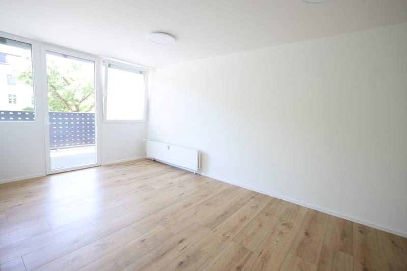 Newly renovated 2-room apartment in the center of Biel (6)