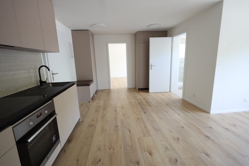Newly renovated 2-room apartment in the center of Biel (5)