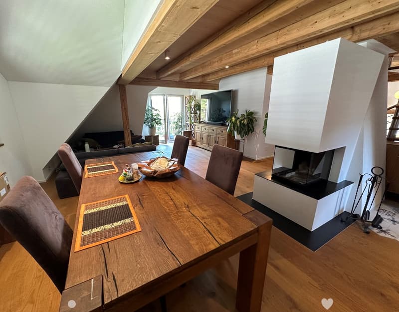 Top sanierte Attika-Wohnung (1)