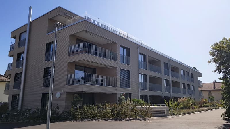 Moderne Studio-Wohnung mit Gartensitzplatz (1)