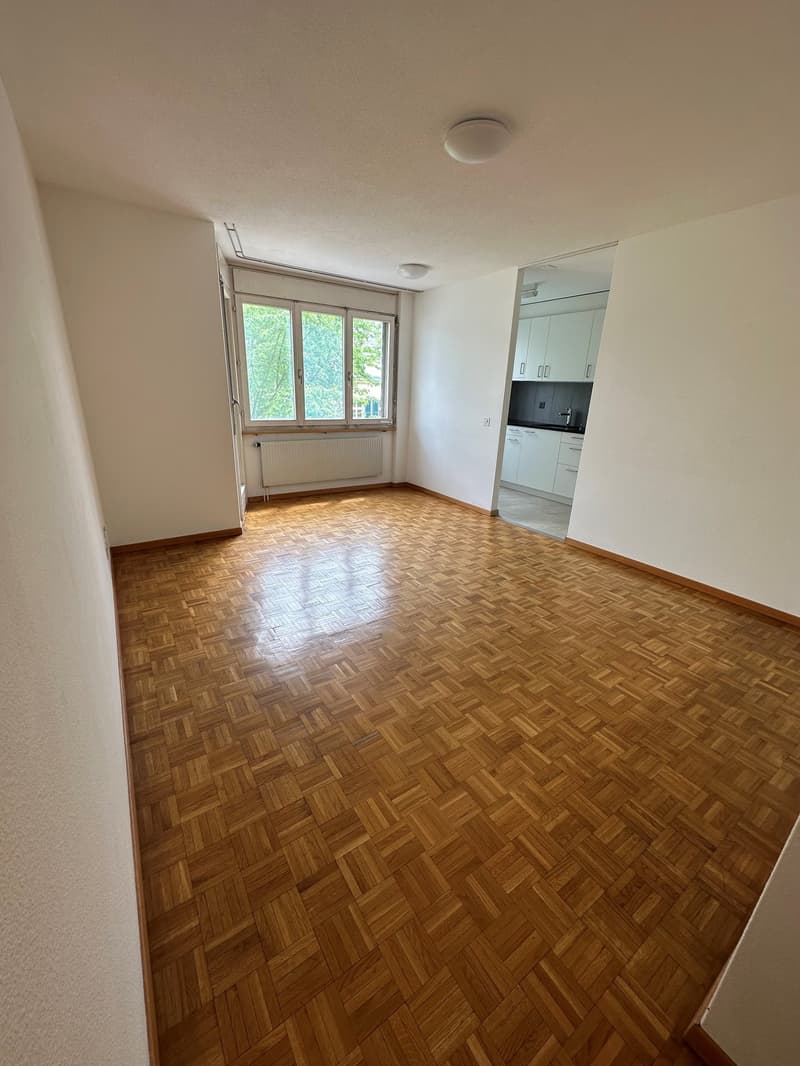 Praktische 2-Zimmerwohnung mitten in Biel (2)