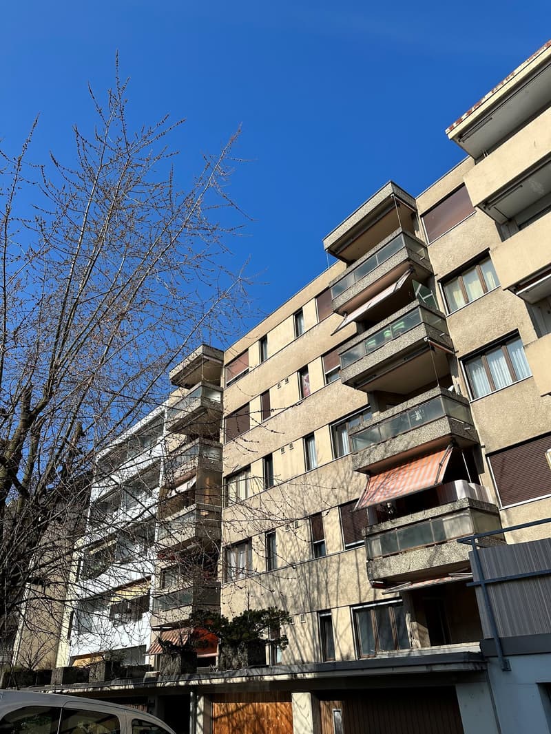 Praktische 2-Zimmerwohnung mitten in Biel (1)