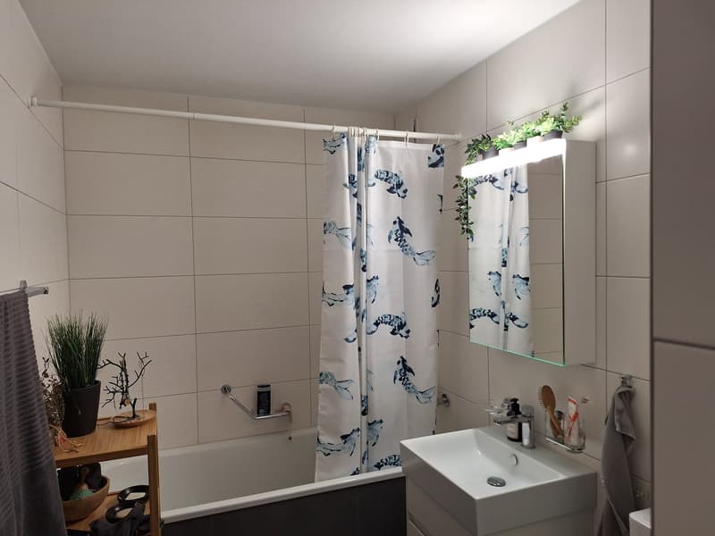 Grosse 4.5-Zimmerwohnung in familienfreundlichem Quartier (4)