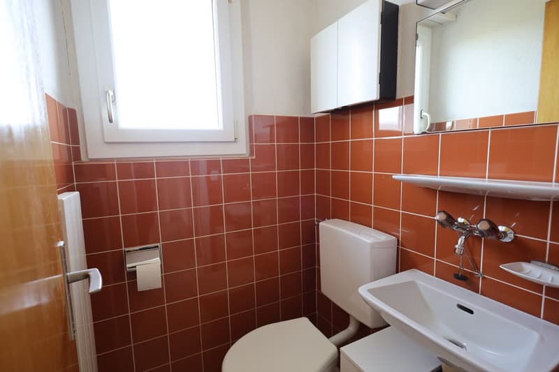 Zweifamilienhaus in Lüscherz – Wohnen mit Blick auf den Bielersee (8)