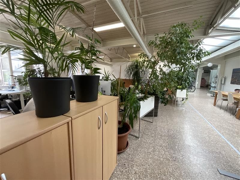 132 m² Bürofläche an der General-Dufour-Strasse in Biel – verfügbar ab Dezember 2026 (2)