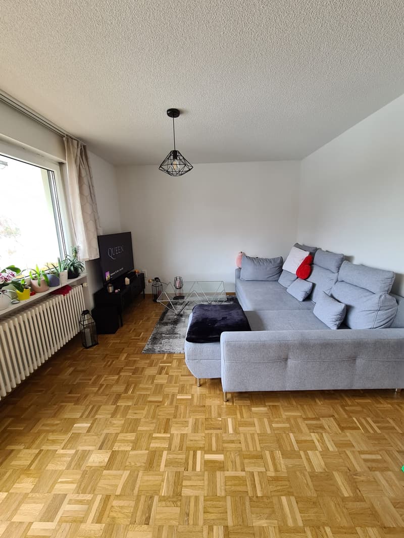 Totalsanierte 2.5-Zimmerwohnung in Seenähe (3)