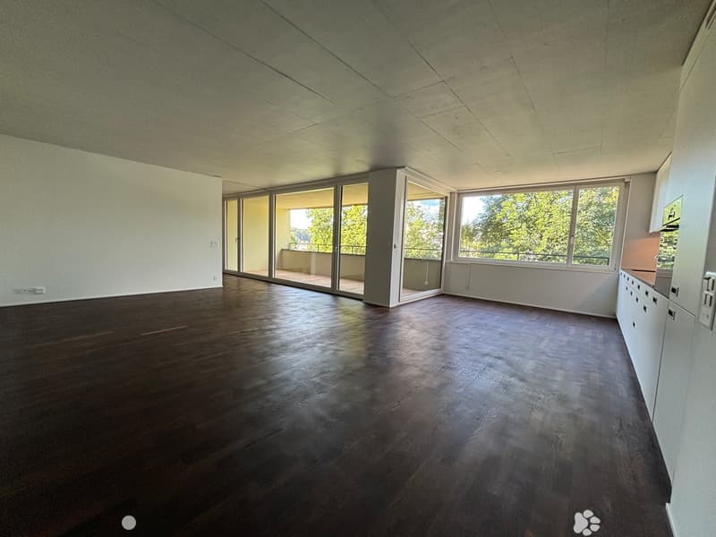 Helle 4.5-Zimmer-Wohnung zur Miete in Biel (3)