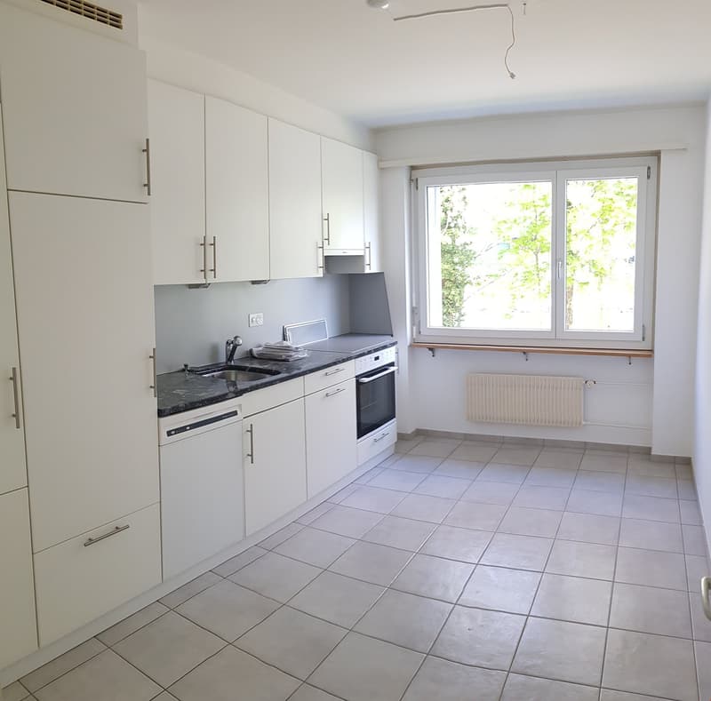 4.5-Zimmerwohnung direkt an der Zihl (6)