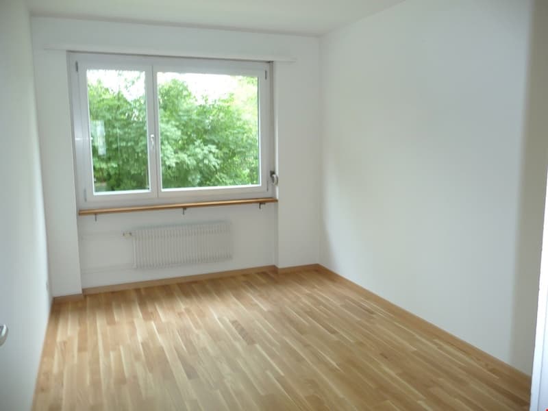 4.5-Zimmerwohnung direkt an der Zihl (5)