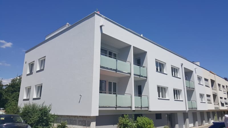 4.5-Zimmerwohnung direkt an der Zihl (1)