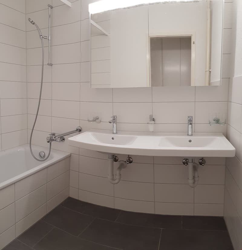4.5-Zimmerwohnung direkt an der Zihl (7)