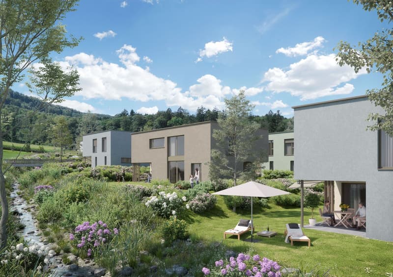 «Im Lei» Birr - Appartements et maisons unifamiliales attractifs en propriété (2)