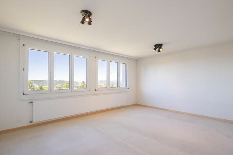 Generous living with a far-reaching view (11)