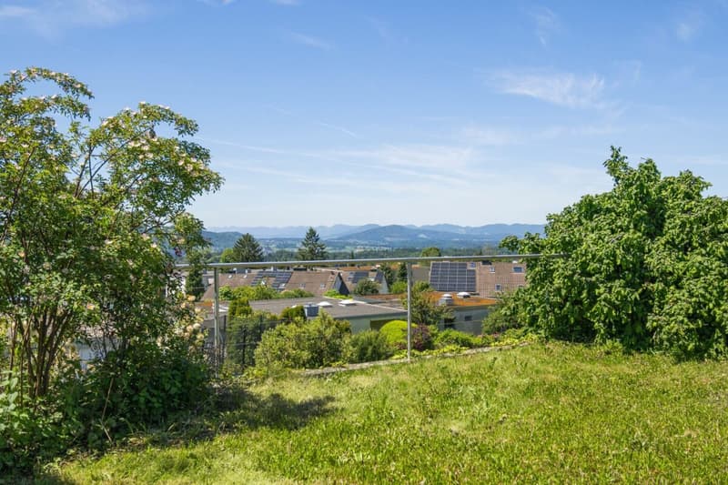 Generous living with a far-reaching view (4)