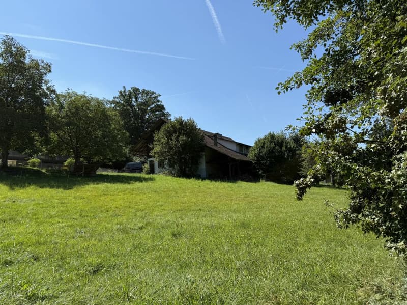 Natural living with high living comfort (8)