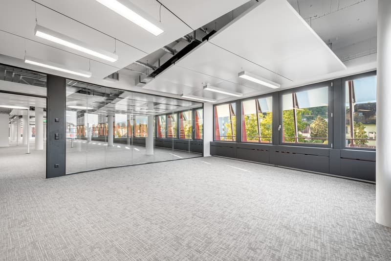 Empty office room with glass walls, gray carpeting, suspended ceiling with lights, large windows, view of trees and buildings outside