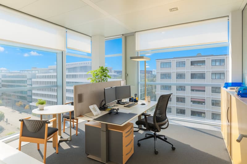 Ihr Business-Zuhause im Herzen von Zürich-Altstetten – ausgebaut und bezugsbereit (9)
