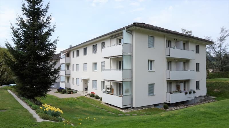 Sonnige 2-Zimmerwohnung in Huttwil (1)