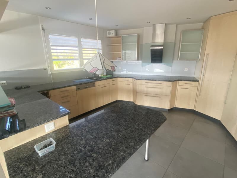 granite countertops, wooden cabinets, modern appliances, open layout