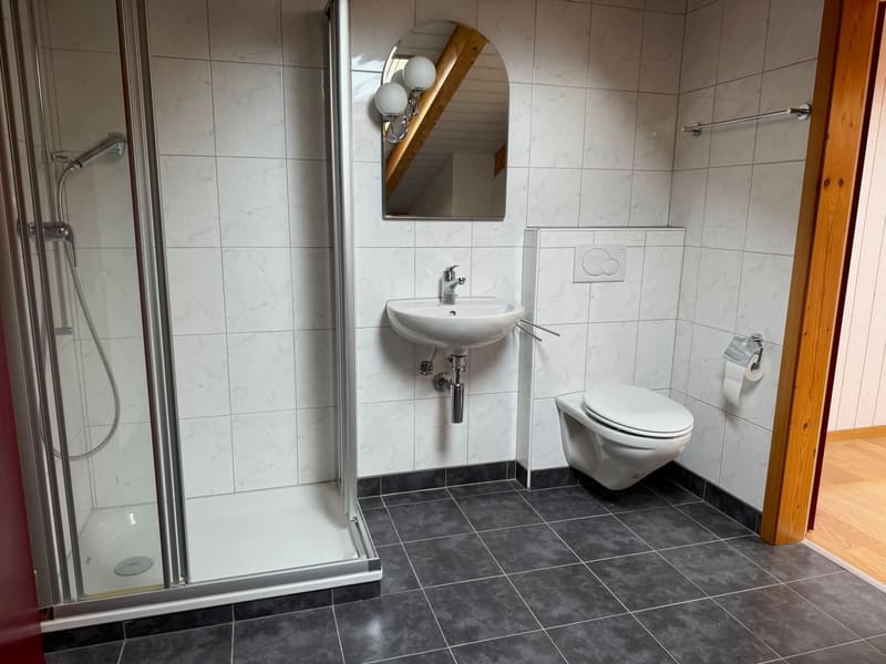 Modern bathroom with shower, sink, toilet, and wall-mounted mirror.