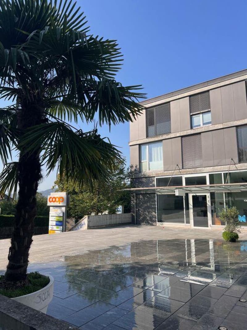 LOCALE COMMERCIALE - UFFICIO - SHOWROOM (4)
