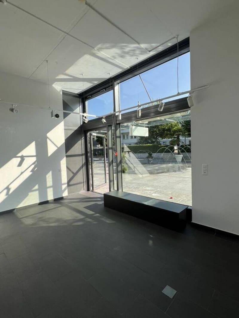 LOCALE COMMERCIALE - UFFICIO - SHOWROOM (6)