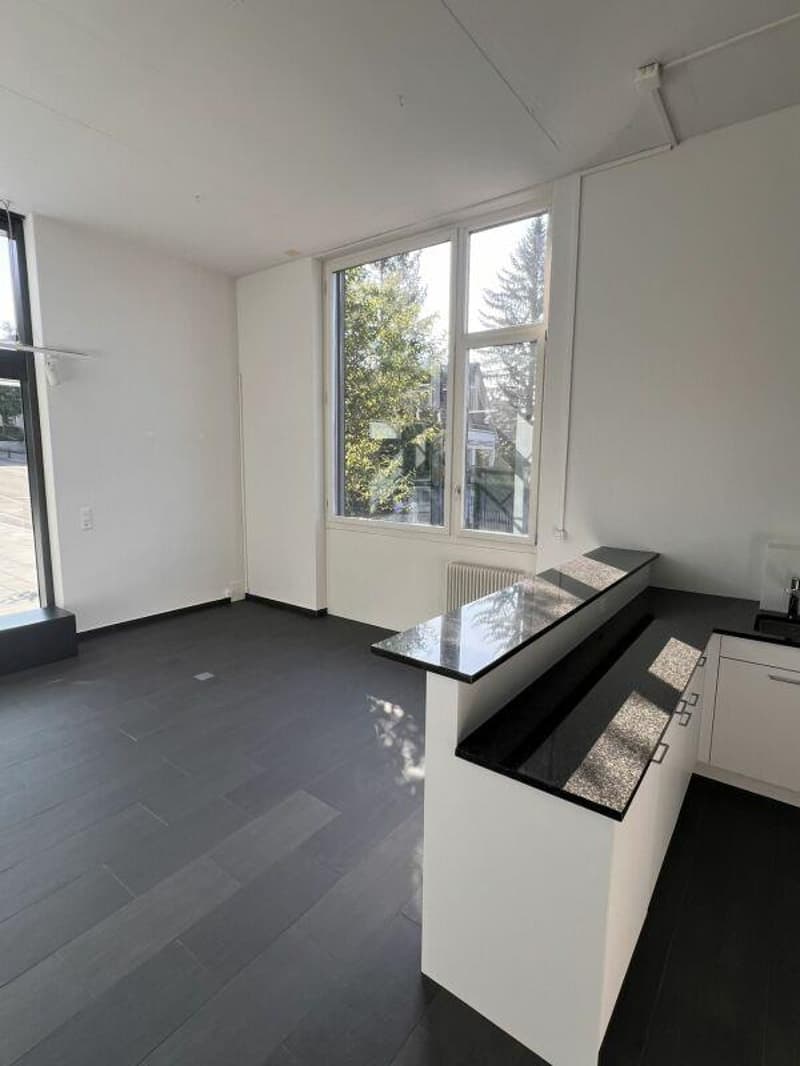 LOCALE COMMERCIALE - UFFICIO - SHOWROOM (10)