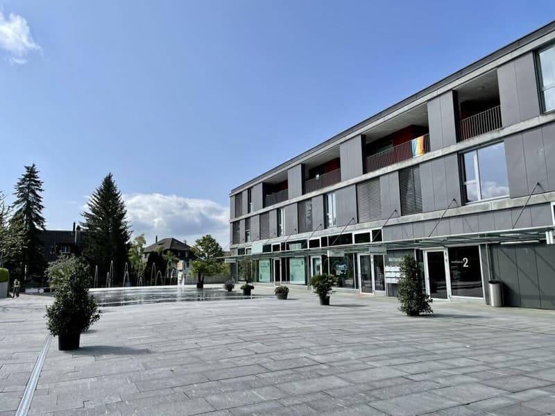 LOCALE COMMERCIALE - UFFICIO - SHOWROOM (2)