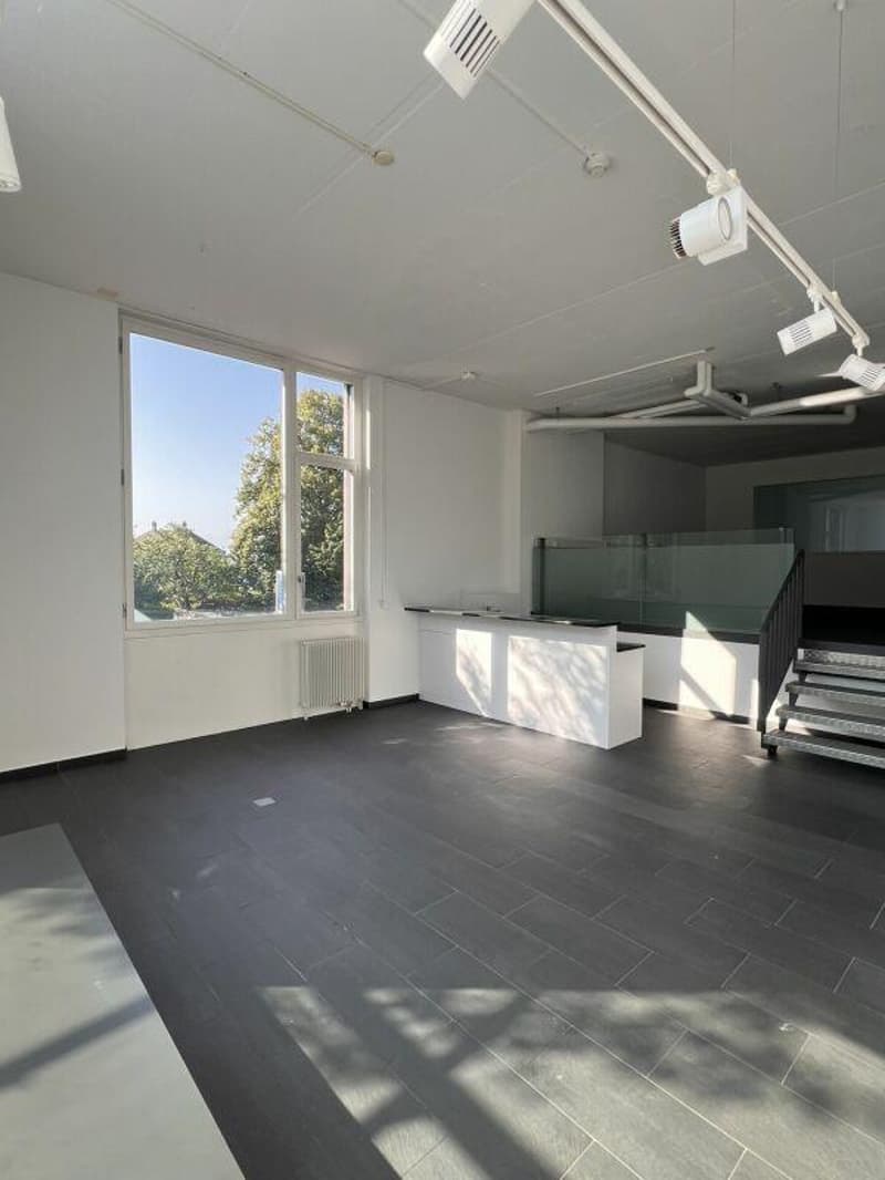LOCALE COMMERCIALE - UFFICIO - SHOWROOM (9)